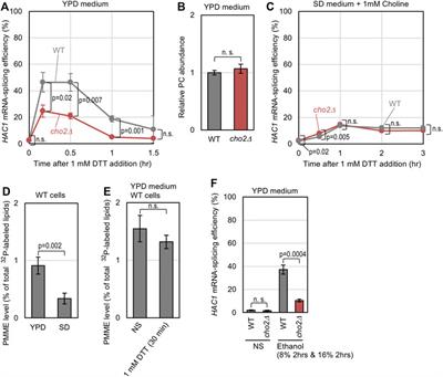 Induction and Aggravation of the Endoplasmic-Reticulum Stress by Membrane-Lipid Metabolic Intermediate Phosphatidyl-N-Monomethylethanolamine